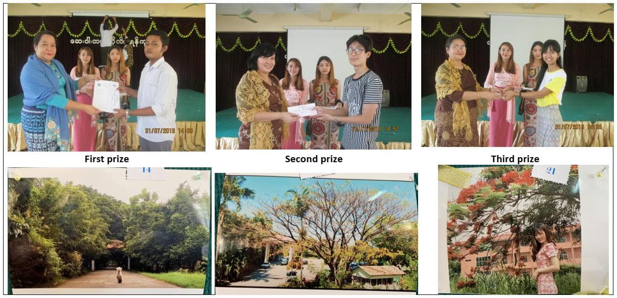 Gallery Walk and Photo Contest